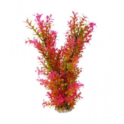 ΔΙΑΚΟΣΜΗΤΙΚΟ ΦΥΤΟ ΕΝΥΔΡΕΙΟΥ 40CM